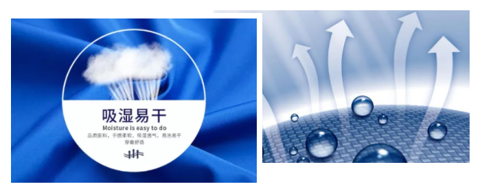 龙八long8玩家医纺